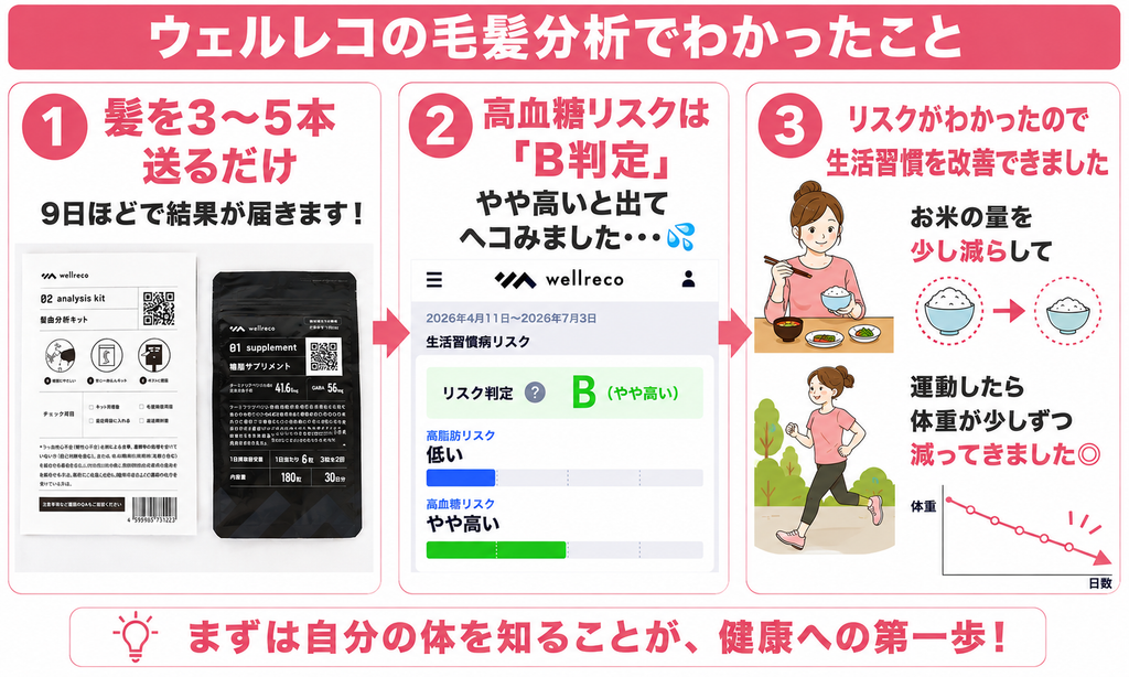 ウェルレコ毛髪分析でわかったことの図解