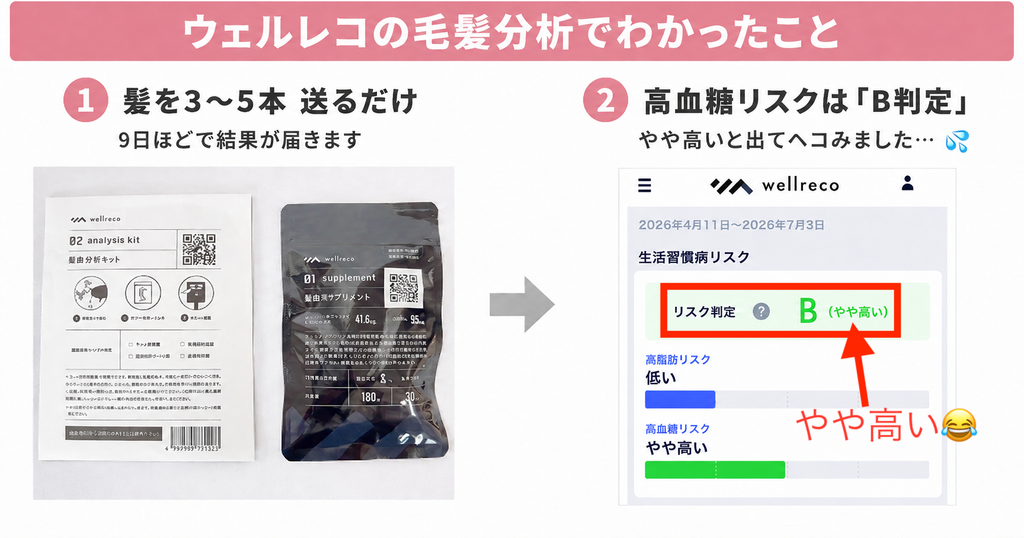 ウェルレコ毛髪分析の手順と高血糖リスクB判定の結果をまとめた画像