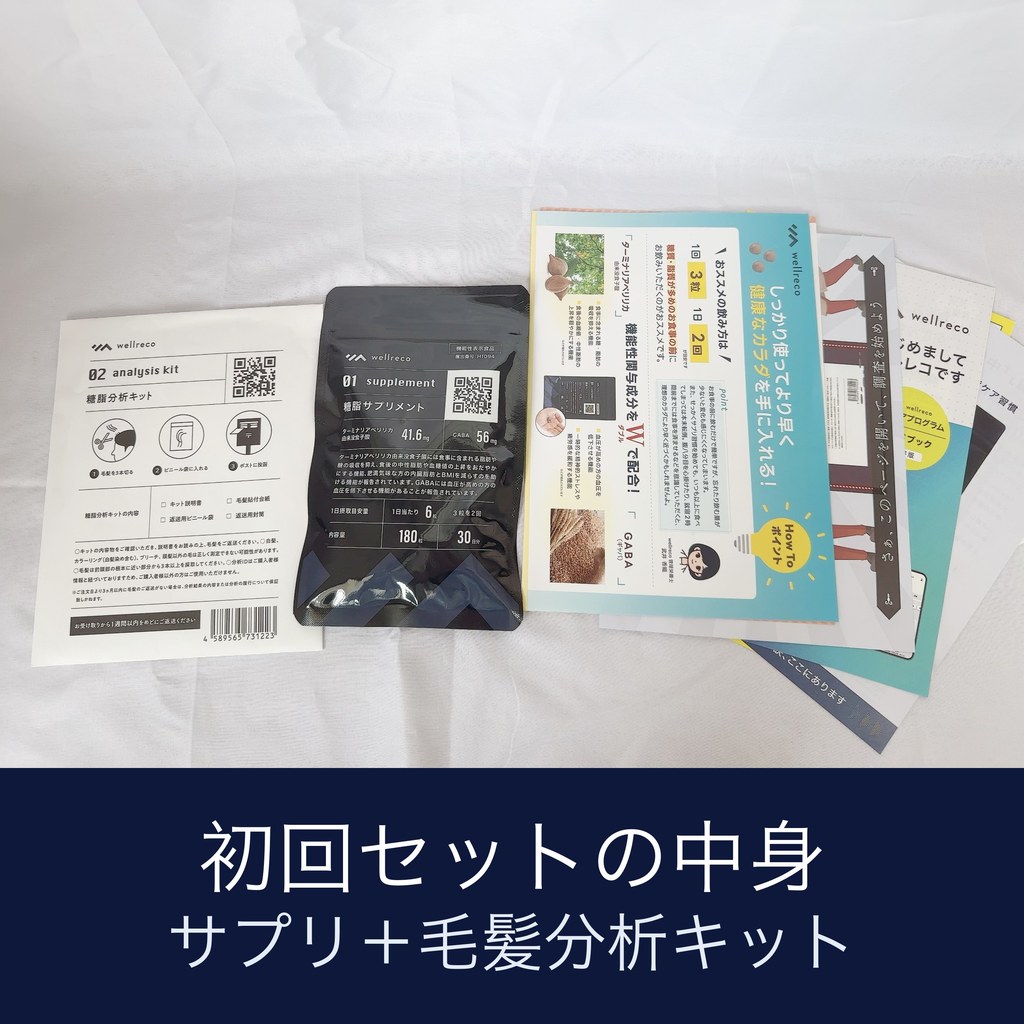 ウェルレコ糖脂サプリと毛髪分析キットの同封物の写真