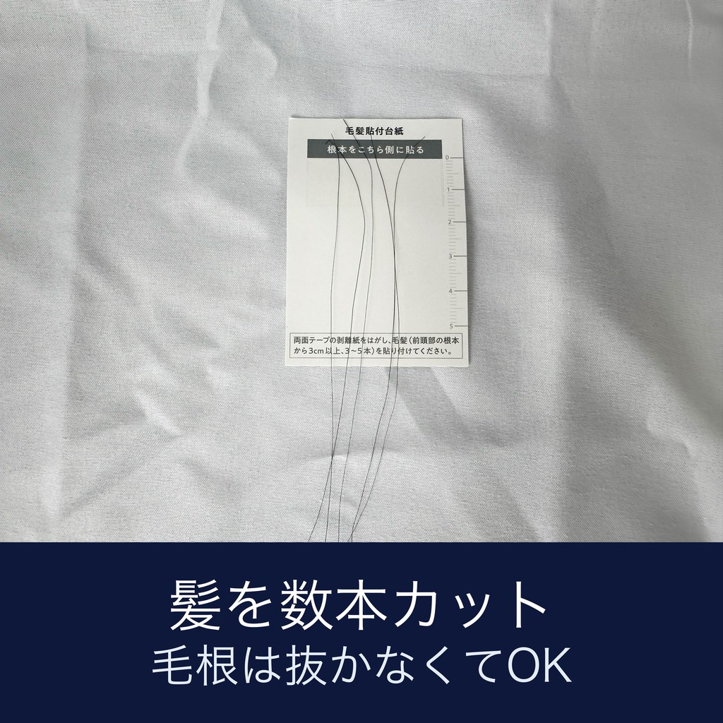 ウェルレコ毛髪分析キットの毛髪貼付台紙の写真