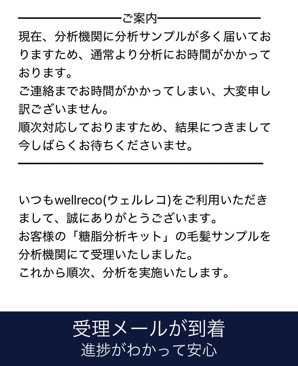ウェルレコ毛髪分析キットの受理メールの画像